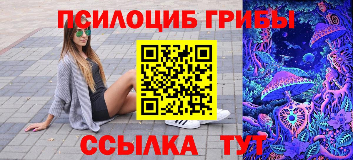 Псилоцибиновые грибы мицелий Усть-Джегута